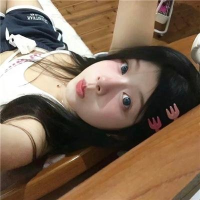 哈兰·科本的庇护所 封面