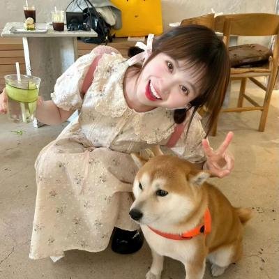 文豪野犬第一季 封面