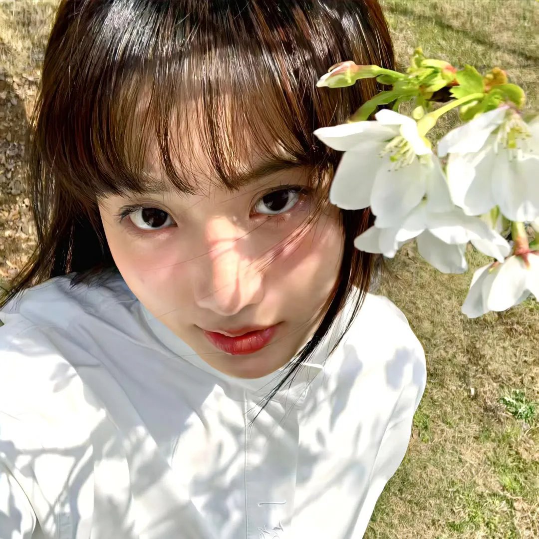 犬夜叉 封面