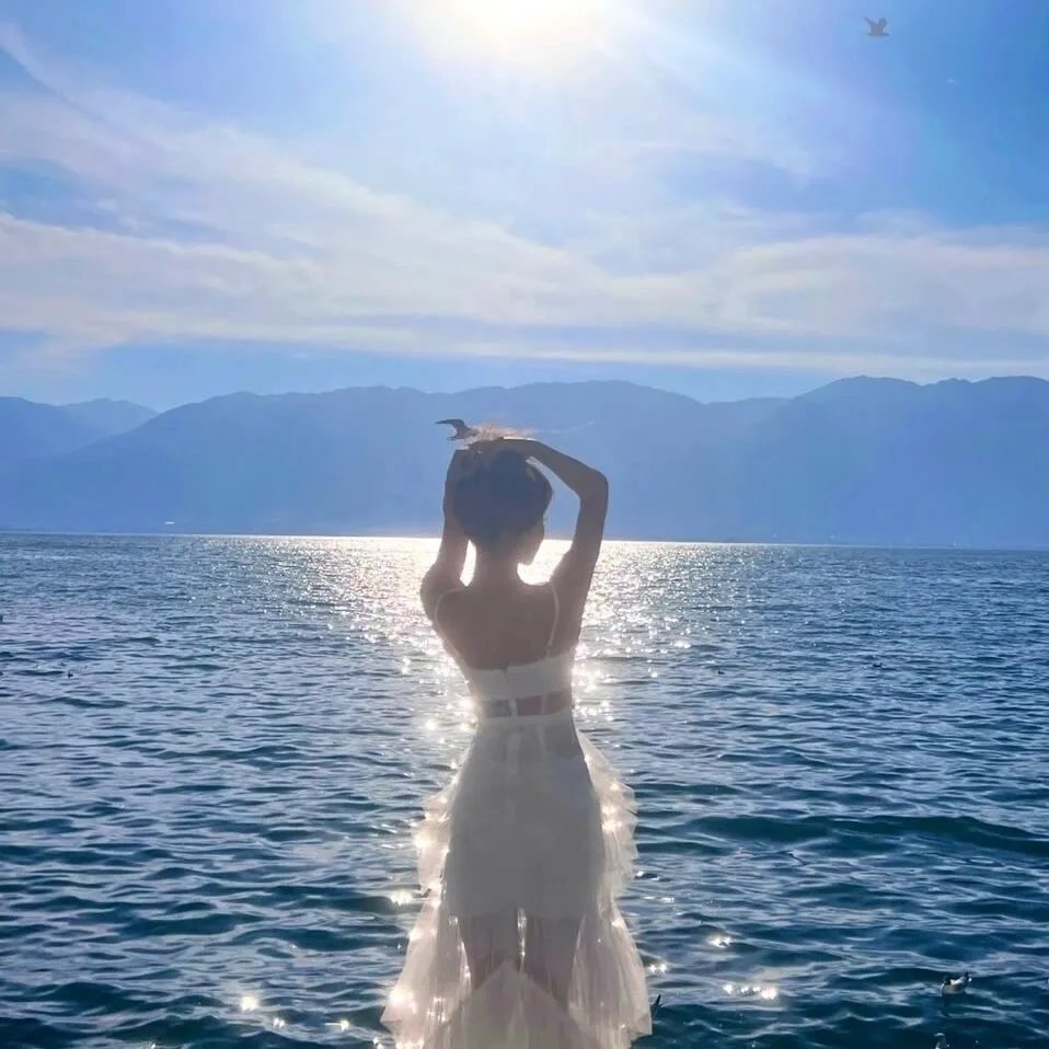 大明星丽莎 封面